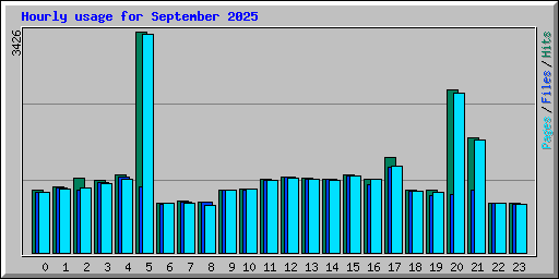 Hourly usage for September 2025