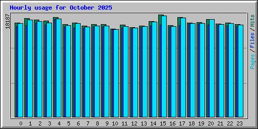 Hourly usage for October 2025