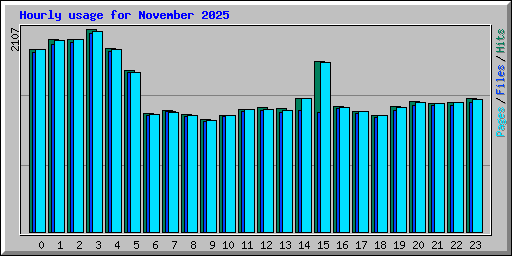 Hourly usage for November 2025