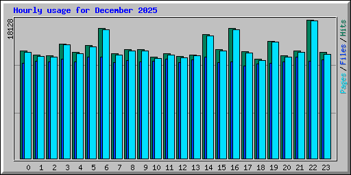Hourly usage for December 2025