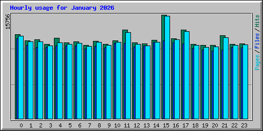 Hourly usage for January 2026